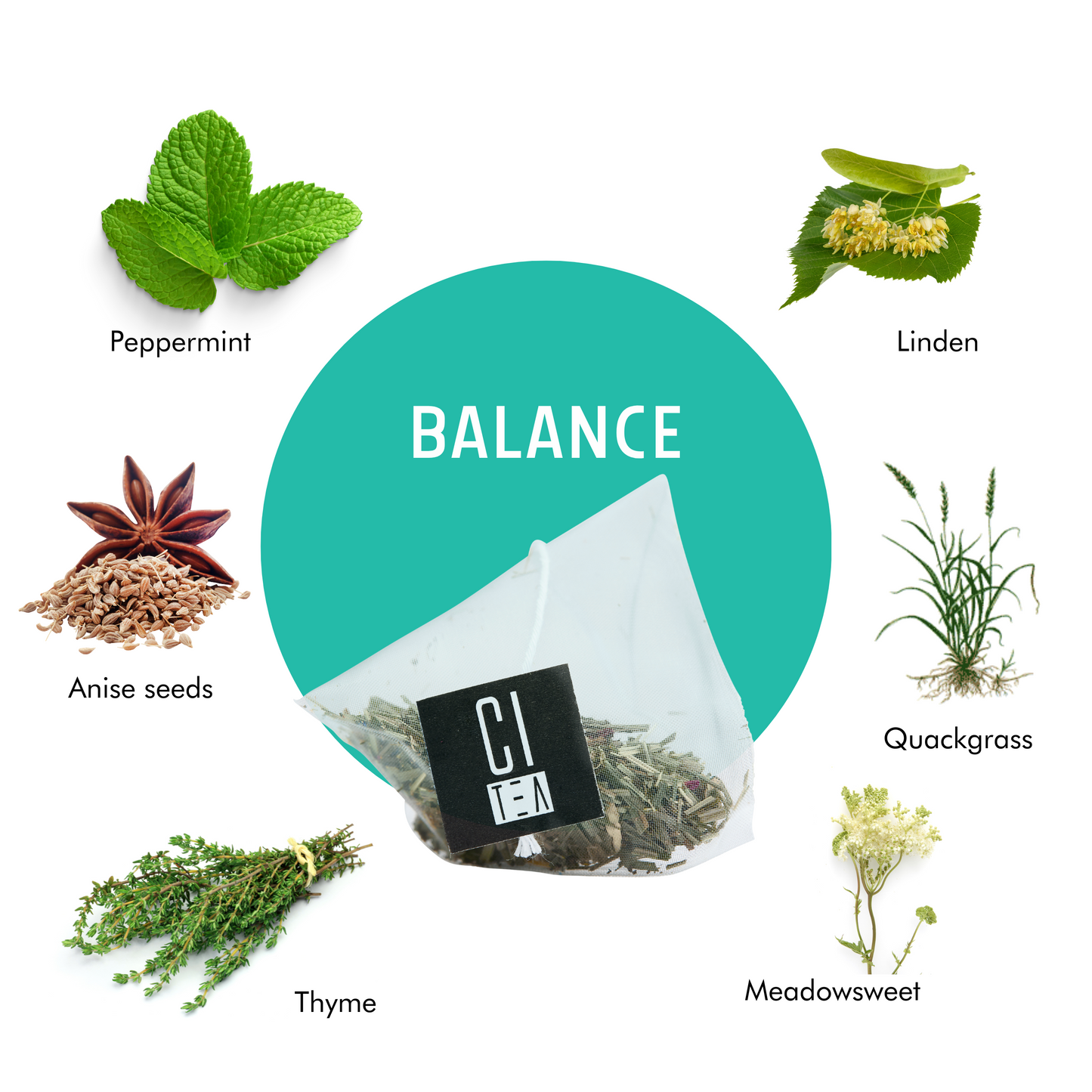 Tisane Balance en sachets pyramidal - 24 sachets