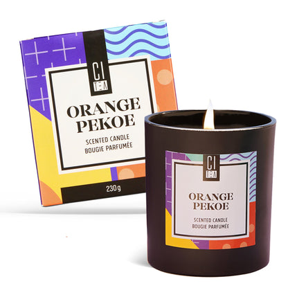 Orange Pekoe Soy Wax Candle - Sage & Driftwood - 8 oz